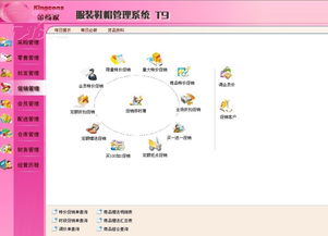金商家T9服裝軟件 財(cái)務(wù)行業(yè)ERP管理解決方案及IT168素材大全